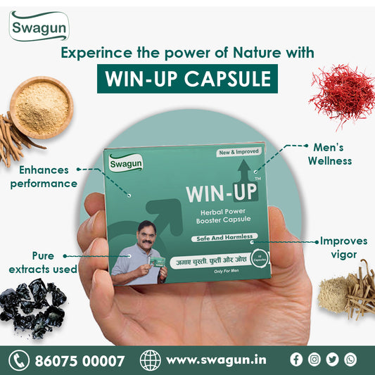 Winup Stamina Booster Capsule | Ayurvedic Energy & Power Support image 1