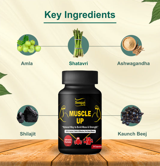 Key herbal ingredients in Swagun Ayurvedic Muscle Gainer Capsules including Ashwagandha and Shilajit