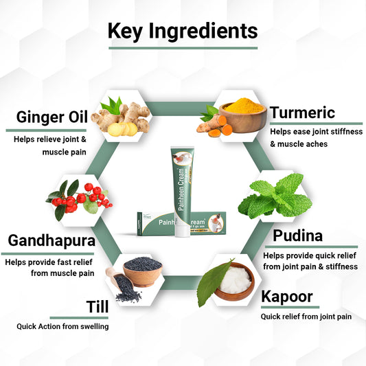 Herbal ingredients of Painheen Ayurvedic pain relief cream including ginger turmeric gandhapura pudina kapoor and till for joint pain and muscle stiffness relief