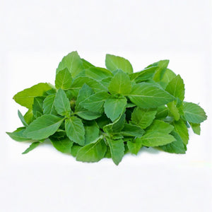 2. Tulsi