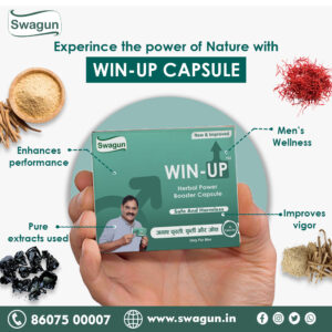 Winup Stamina Booster Capsule Ayurvedic Energy Supplement